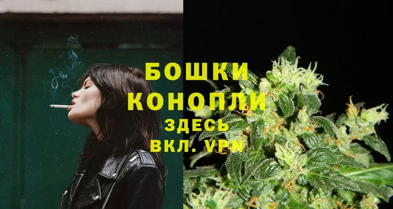 купить наркотики сайты  Воронеж  Бошки Шишки OG Kush 